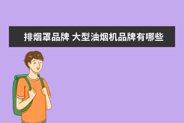 排烟罩品牌 大型油烟机品牌有哪些,大型油烟机价格是多少 - 百度...