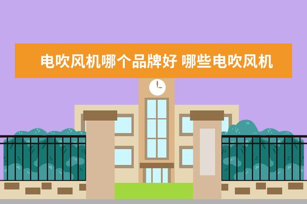 电吹风机哪个品牌好 哪些电吹风机的品牌好用?