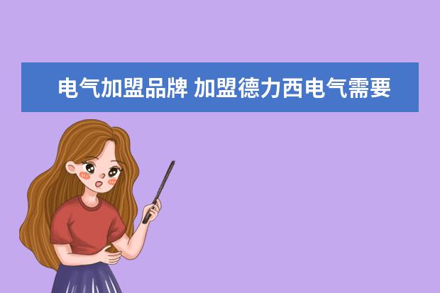 电气加盟品牌 加盟德力西电气需要什么条件