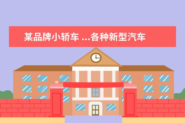 某品牌小轿车 ...各种新型汽车不断投放市场.以下是我国某品牌轿车...