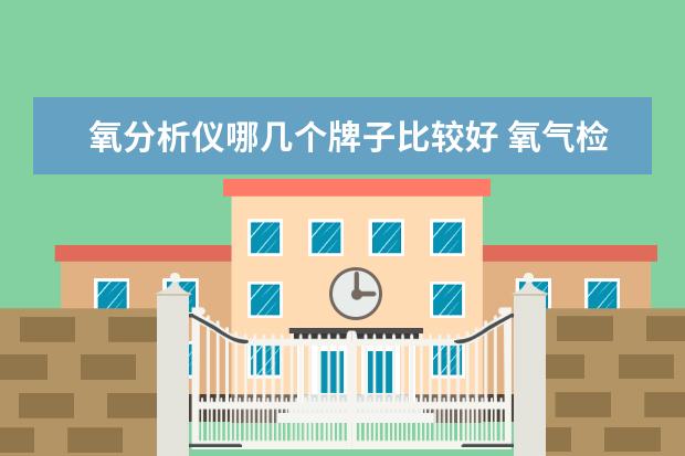 氧分析仪哪几个牌子比较好 氧气检测仪厂家哪家好?