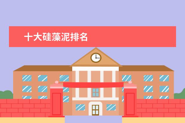 十大硅藻泥排名