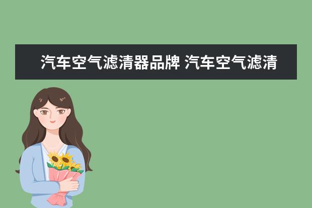 汽车空气滤清器品牌 汽车空气滤清器品牌