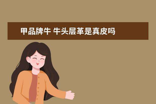 甲品牌牛 牛头层革是真皮吗