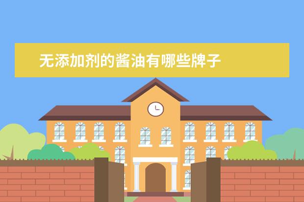 无添加剂的酱油有哪些牌子