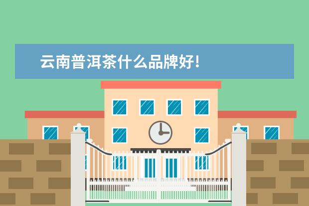 云南普洱茶什么品牌好!