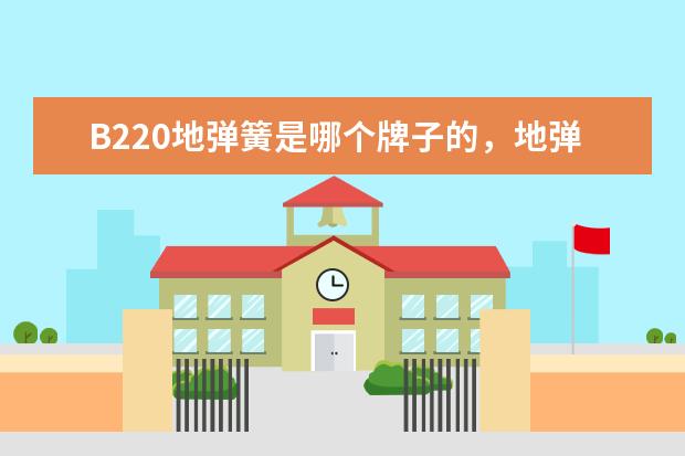 B220地弹簧是哪个牌子的,地弹簧选择上有什么要求么? 最近店里装修。