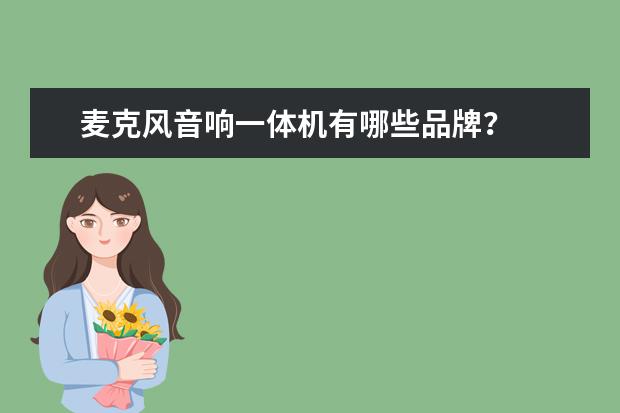 麦克风音响一体机有哪些品牌？