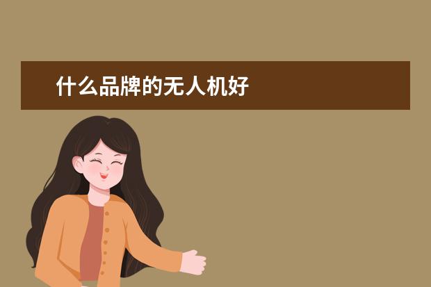 什么品牌的无人机好