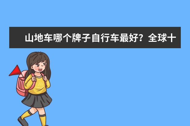 山地车哪个牌子自行车最好？全球十大顶级碳纤维自行车品牌排行榜,FRW辐轮王，