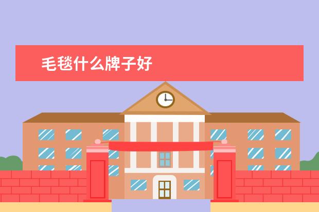 毛毯什么牌子好