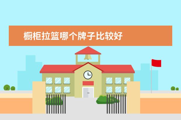 橱柜拉篮哪个牌子比较好