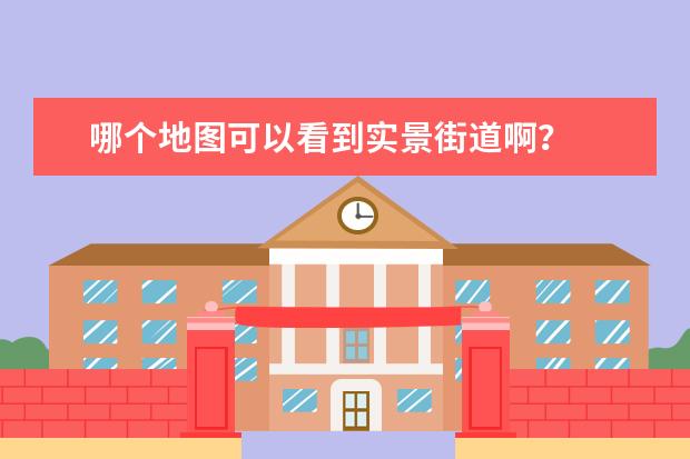 哪个地图可以看到实景街道啊?