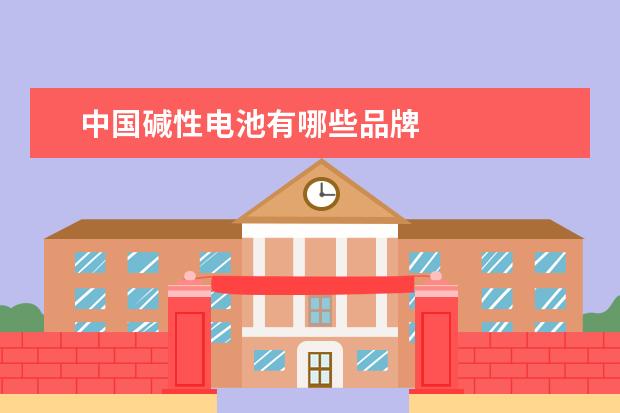 中国碱性电池有哪些品牌