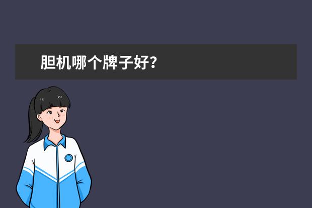 胆机哪个牌子好？