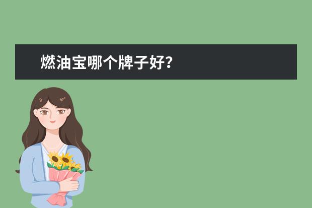 燃油宝哪个牌子好？