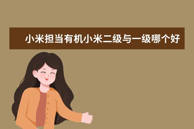 小米担当有机小米二级与一级哪个好?