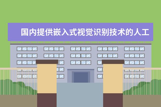 国内提供嵌入式视觉识别技术的人工智能企业有哪些？