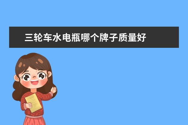 三轮车水电瓶哪个牌子质量好
