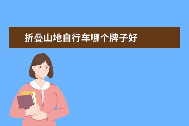 折叠山地自行车哪个牌子好