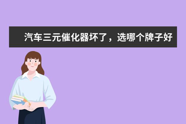 汽车三元催化器坏了，选哪个牌子好？