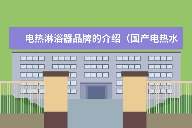 电热淋浴器品牌的介绍（国产电热水器排名）