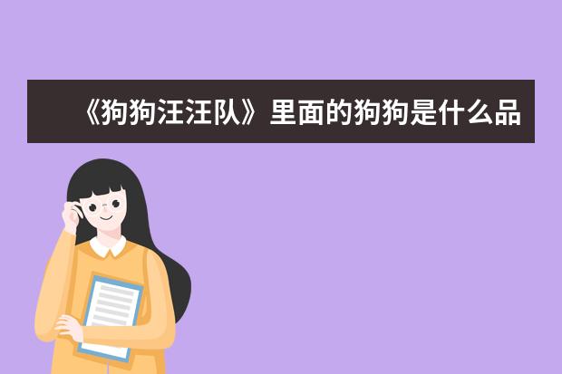 《狗狗汪汪队》里面的狗狗是什么品种?答案你绝对想不到