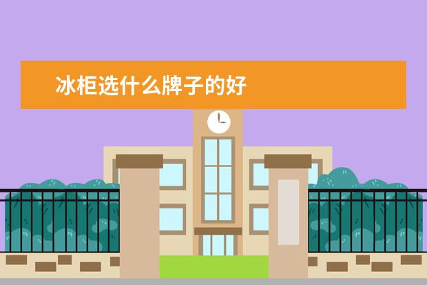 冰柜选什么牌子的好
