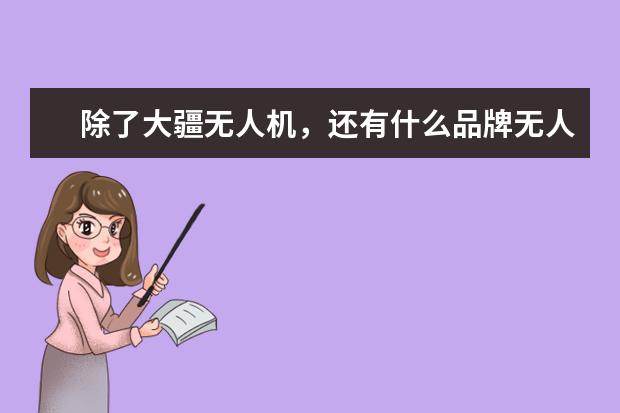 除了大疆无人机，还有什么品牌无人机比较好？