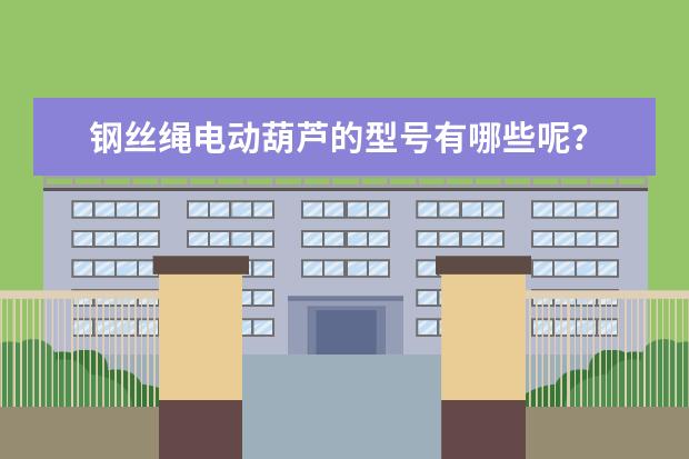 钢丝绳电动葫芦的型号有哪些呢？