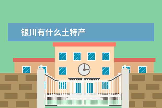 银川有什么土特产