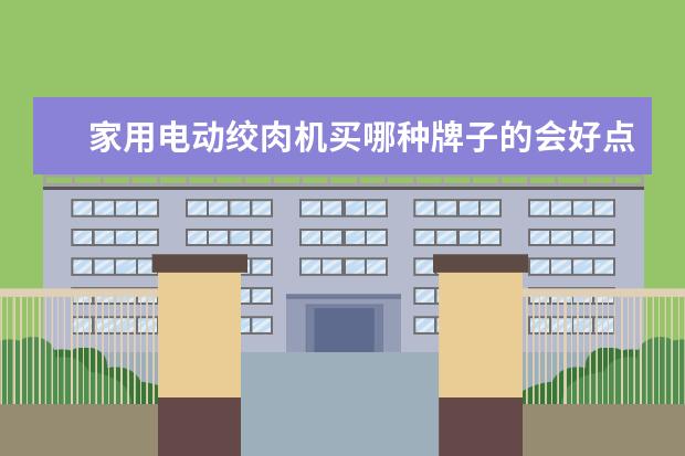 家用电动绞肉机买哪种牌子的会好点?（家用绞肉机十大牌子）