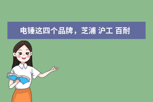 电锤这四个品牌，芝浦 沪工 百耐 戈麦斯哪个好？谢谢！
