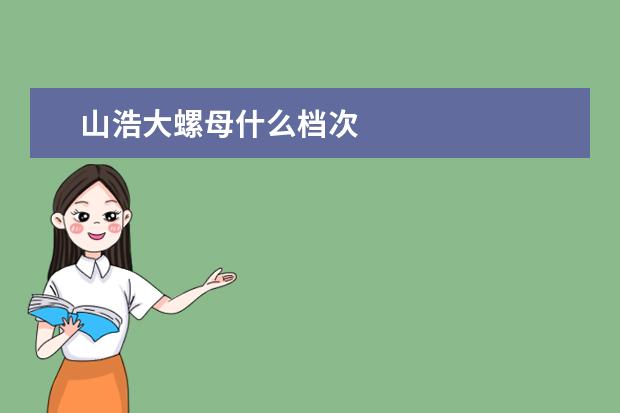 山浩大螺母什么档次