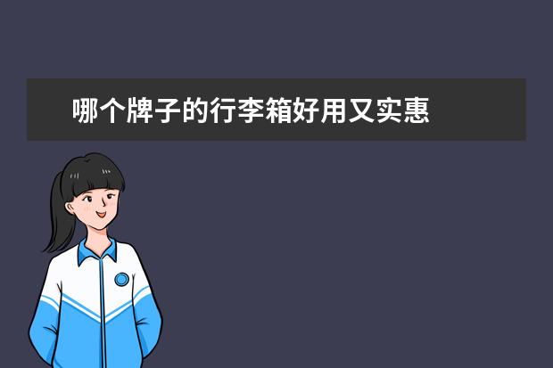 哪个牌子的行李箱好用又实惠