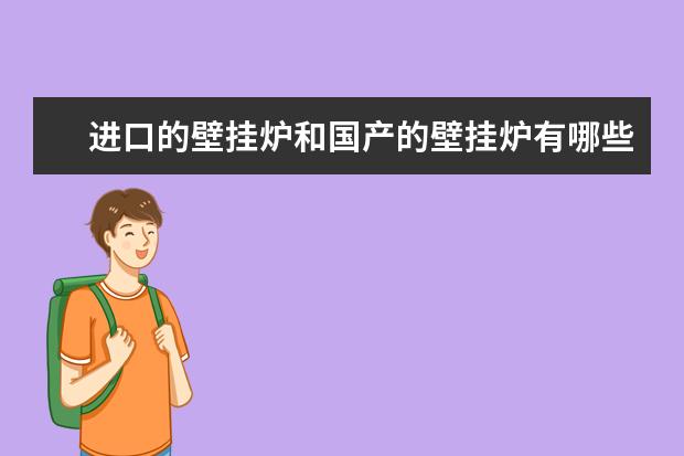 进口的壁挂炉和国产的壁挂炉有哪些区别啊？