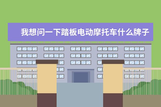 我想问一下踏板电动摩托车什么牌子好