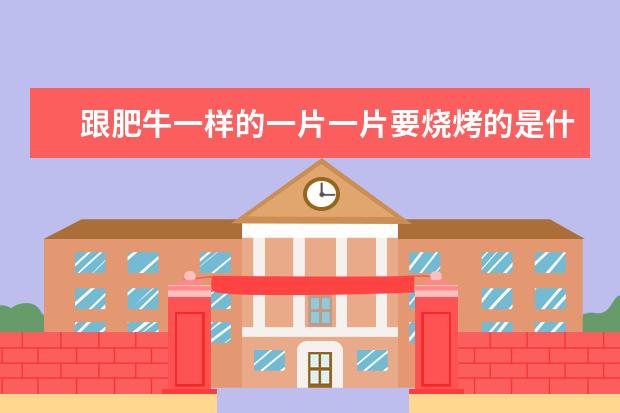 跟肥牛一样的一片一片要烧烤的是什么肉
