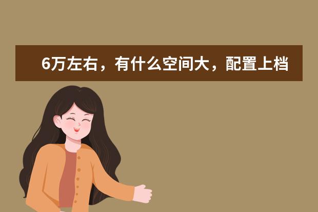 6万左右,有什么空间大,配置上档次的国产车推荐吗?