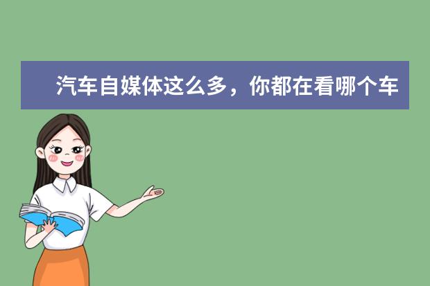 汽车自媒体这么多,你都在看哪个车评人的?