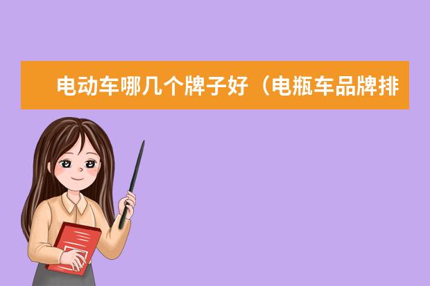 电动车哪几个牌子好（电瓶车品牌排行榜十大名牌）