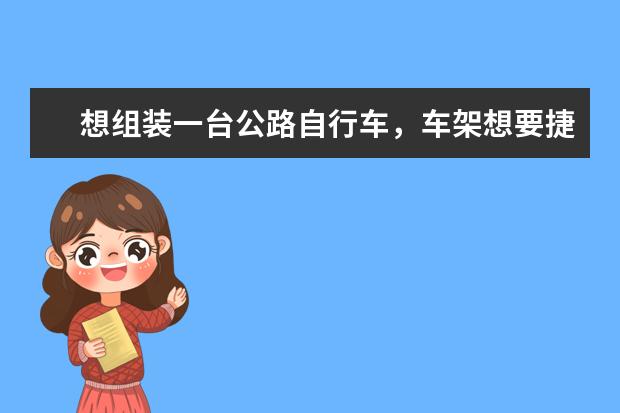 想组装一台公路自行车，车架想要捷安特的，其他配件例如车轮，车座，刹车，脚蹬子买什么牌子什么配置不太