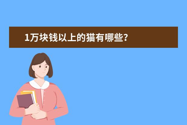 1万块钱以上的猫有哪些？