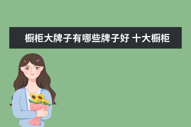 橱柜大牌子有哪些牌子好 十大橱柜品牌排行榜推荐(性价比最好的橱柜品牌排行榜)