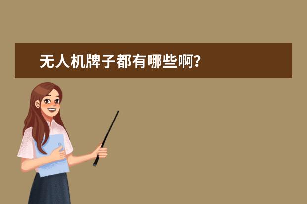 无人机牌子都有哪些啊?