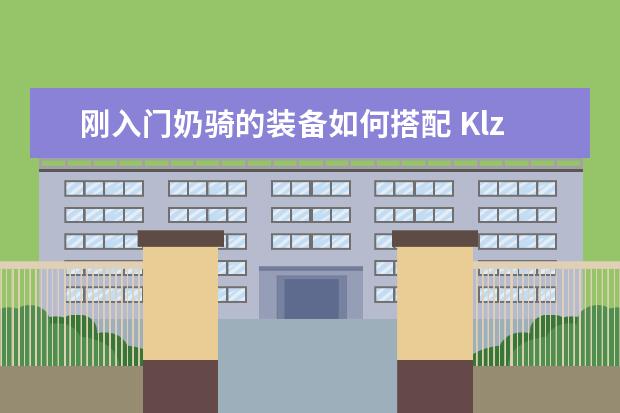 刚入门奶骑的装备如何搭配 Klz zam  牌子
