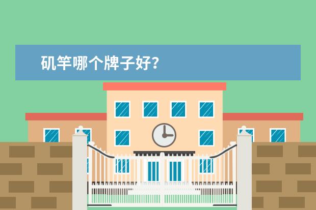 矶竿哪个牌子好？