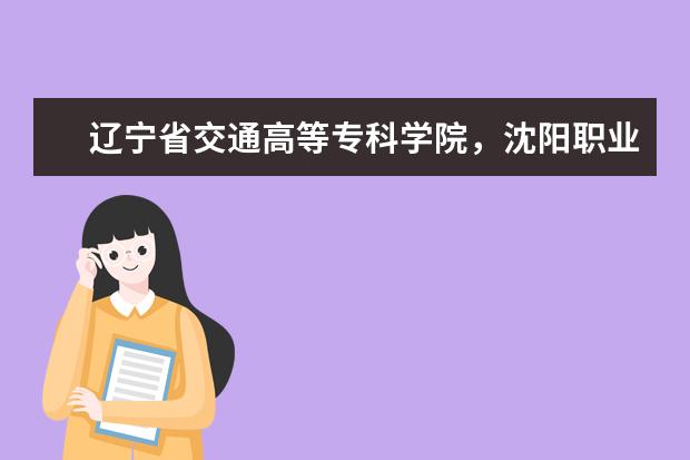 辽宁省交通高等专科学院，沈阳职业技术学校，大连职业技术学院，辽宁农业职业技术学院10年录取分数（沈阳专科学校 又好 分数又低的？？？）