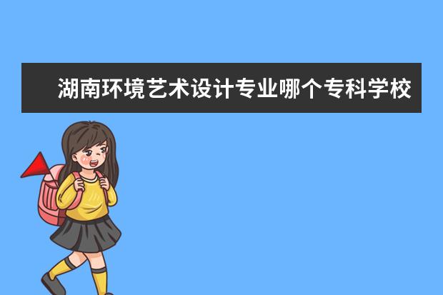 湖南环境艺术设计专业哪个专科学校好些?