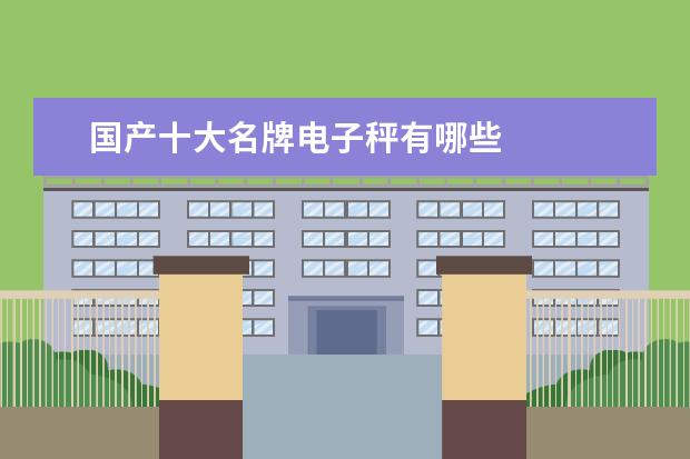 国产十大名牌电子秤有哪些